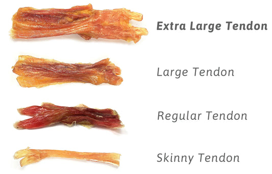 Extra Large, Large, Regular, and Skinny Tendon dog treats displayed for size comparison